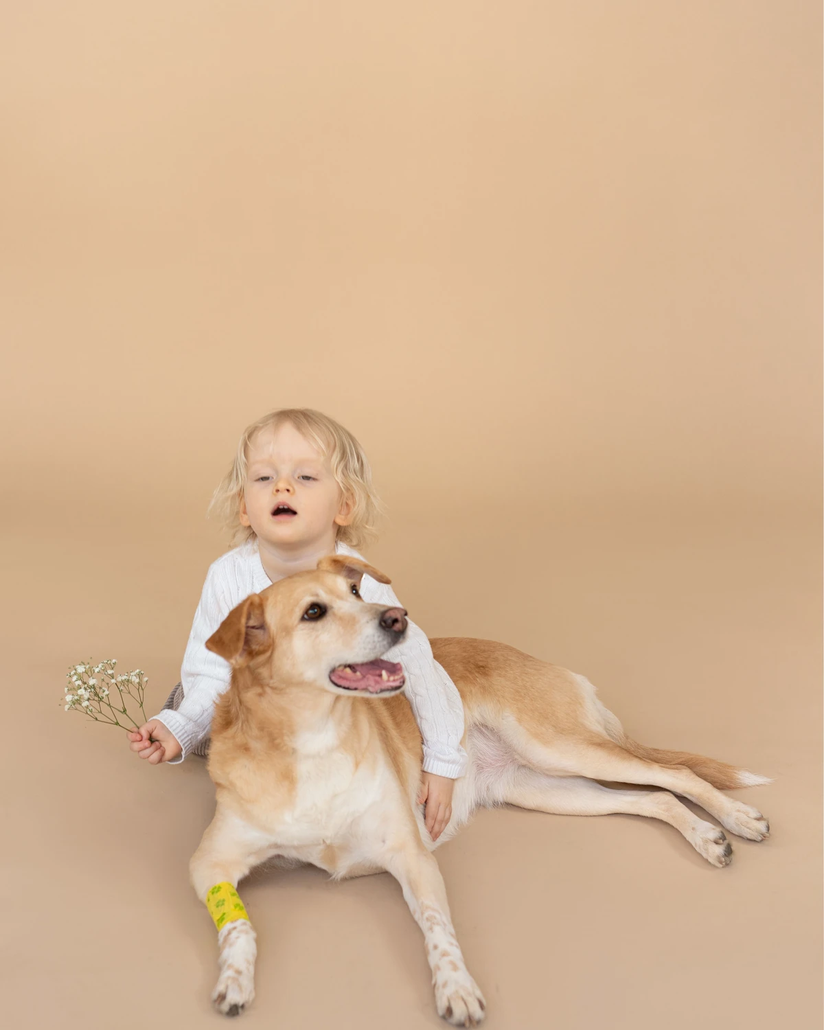 Un tout-petit et un chiot