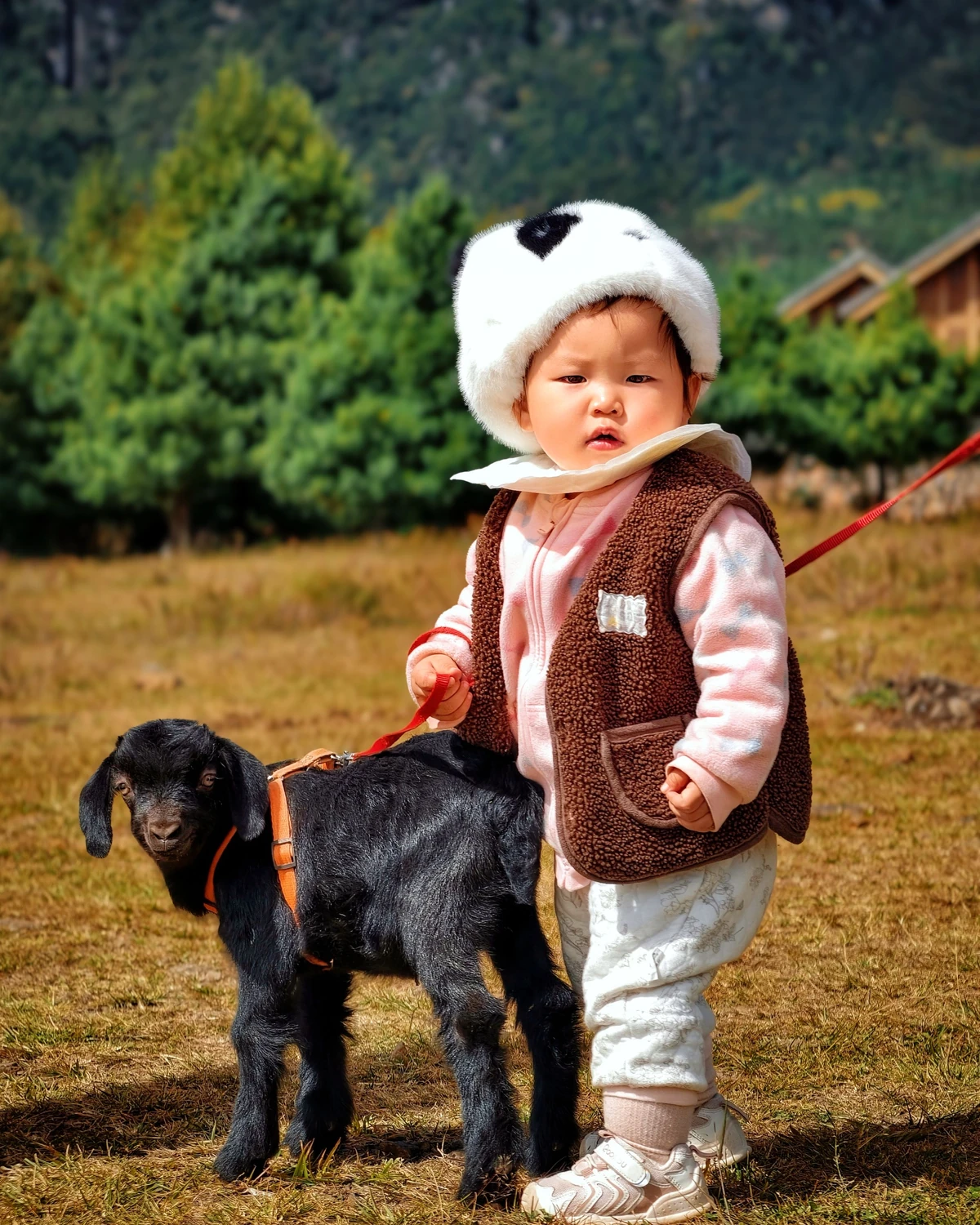 Un enfant et un chevreau