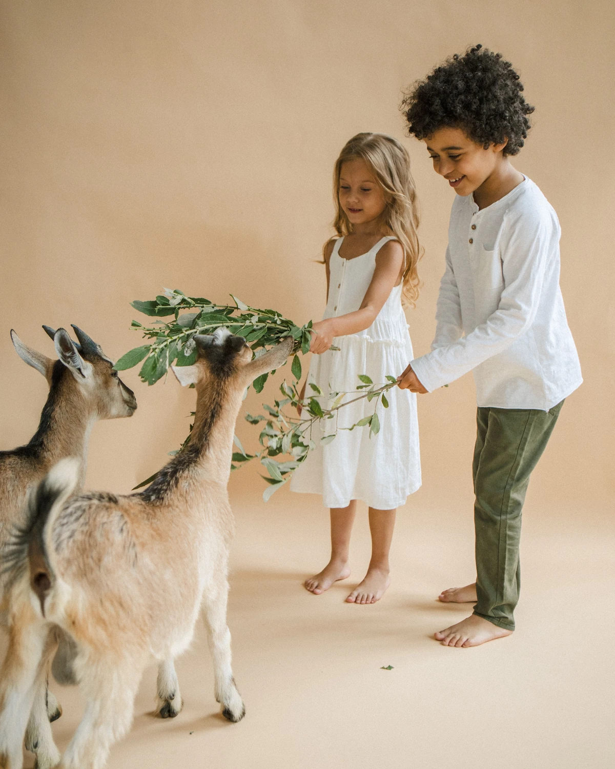 Des enfants et des chèvres