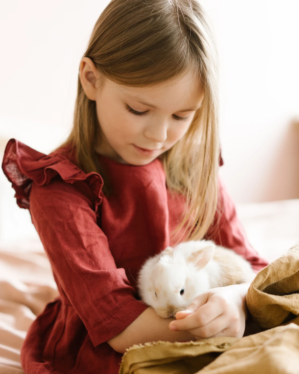 Une fillette et un lapin
