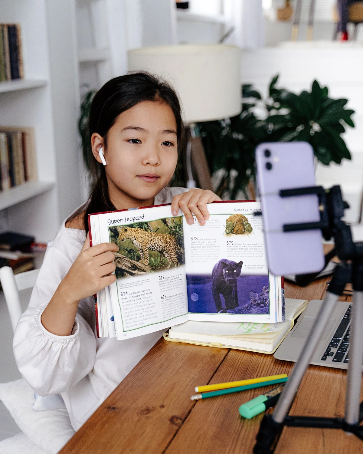 Un livre sur les animaux